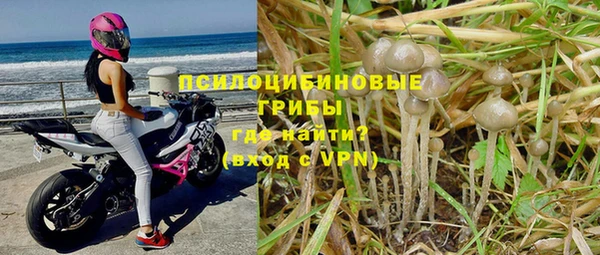 jwh Армянск