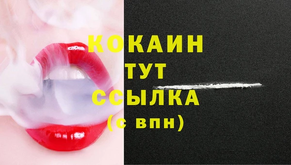 тгк Аркадак