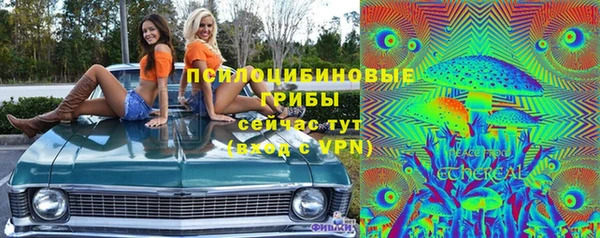 тгк Аркадак